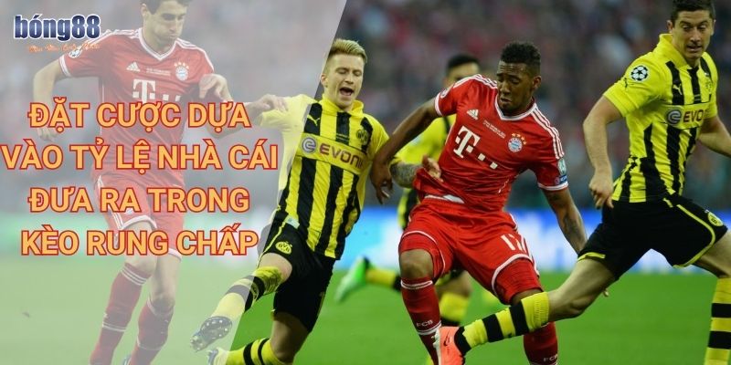 Chi tiết kèo rung Bong88, chiến lược đặt cược hiệu quả 3 Đặt cược dựa vào tỷ lệ nhà cái đưa ra trong kèo rung chấp